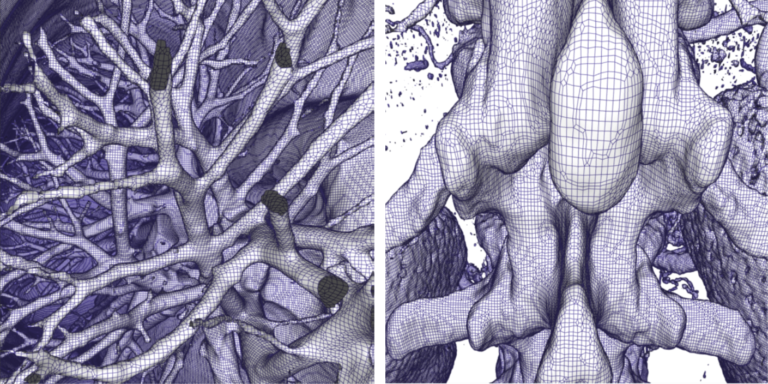 Best Paper Award at GRAPP/VISIGRAPP 2020